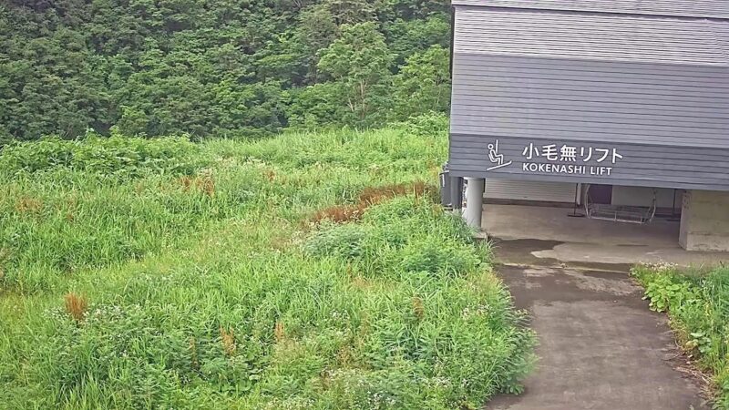 アライマウンテンリゾート小手無リフトのライブカメラ|新潟県妙高市のサムネイル
