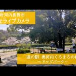 道の駅奥河内くろまろの郷ドッグパークのライブカメラ|大阪府河内長野市のサムネイル