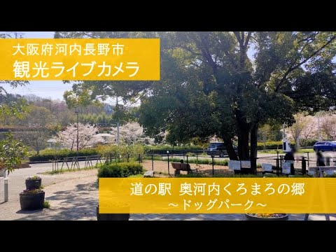 道の駅奥河内くろまろの郷ドッグパークのライブカメラ|大阪府河内長野市のサムネイル