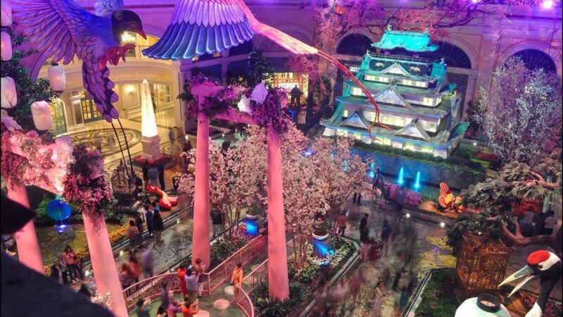 ラスベガスのベラージオホテル植物園のライブカメラ|アメリカ ネバダ州のサムネイル