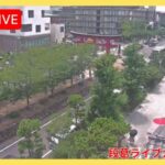 豊島屋から段葛のライブカメラ|神奈川県鎌倉市のサムネイル