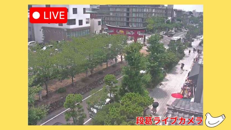 豊島屋から段葛のライブカメラ|神奈川県鎌倉市のサムネイル