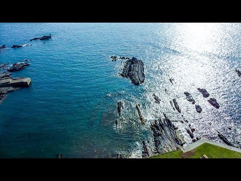 ビーチテラス房総から東京湾方面のライブカメラ|千葉県富津市のサムネイル