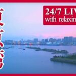 お台場マリンスポーツエリア上空のライブカメラ|東京都港区のサムネイル