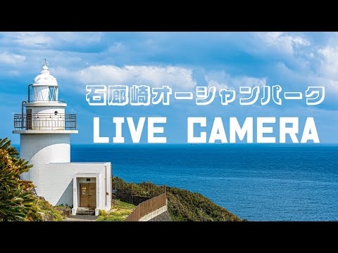 石廊崎オーシャンパークから灯台のライブカメラ|静岡県南伊豆町のサムネイル