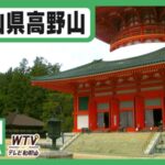 テレビ和歌山より高野山金剛峯寺・根本大塔のライブカメラ|和歌山県高野町のサムネイル