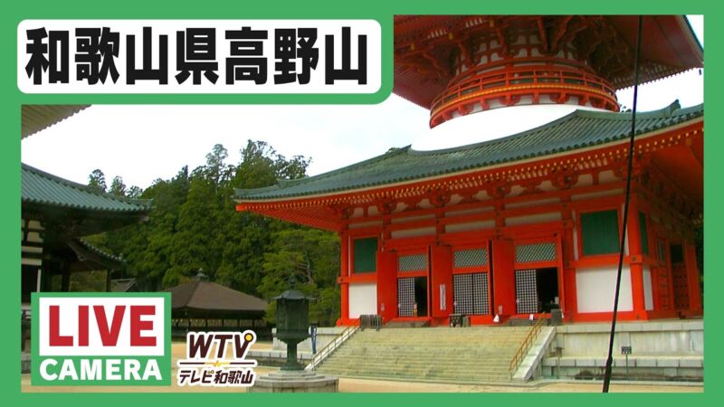 テレビ和歌山より高野山金剛峯寺・根本大塔のライブカメラ|和歌山県高野町のサムネイル