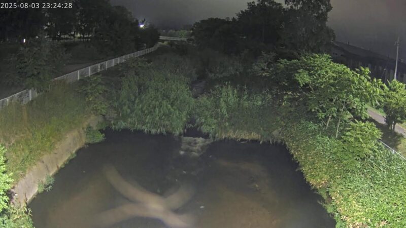 止別川 トリム公園付近のライブカメラ|北海道小清水町のサムネイル