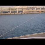 新港第３突堤のライブカメラ|兵庫県神戸市のサムネイル