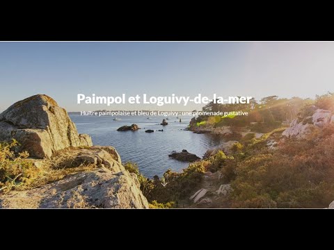 ロギヴィ市街と海岸のライブカメラ|フランス共和国ブルターニュ地方のサムネイル