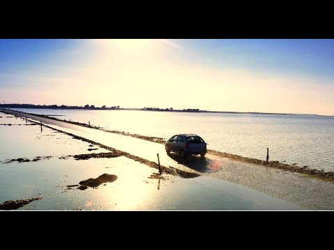 パッサージュ・デュ・ゴアのライブカメラ|フランス共和国ペイ・ド・ラ・ロワール地方のサムネイル
