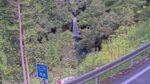 枝川川 にこ淵のライブカメラ|高知県いの町のサムネイル
