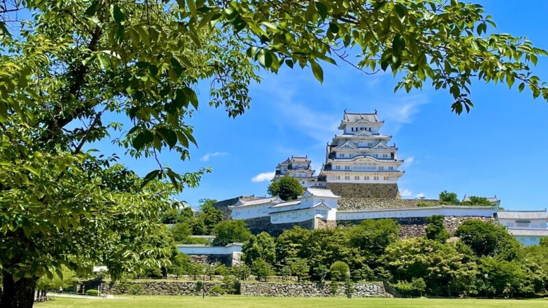 姫路市御立北１丁目付近のライブカメラ|兵庫県姫路市のサムネイル