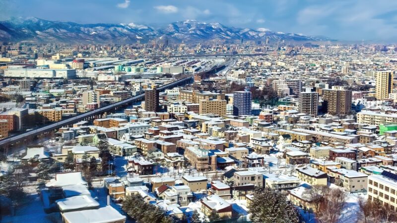 札幌市東区丘珠町付近のライブカメラ|北海道札幌市のサムネイル