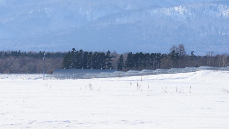 標津町南１条東１丁目付近のライブカメラ|北海道標津町のサムネイル
