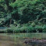 十和田市相坂高清水付近のライブカメラ|青森県十和田市のサムネイル
