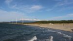 酒田港・さかた海鮮市場のライブカメラ|山形県酒田市のサムネイル