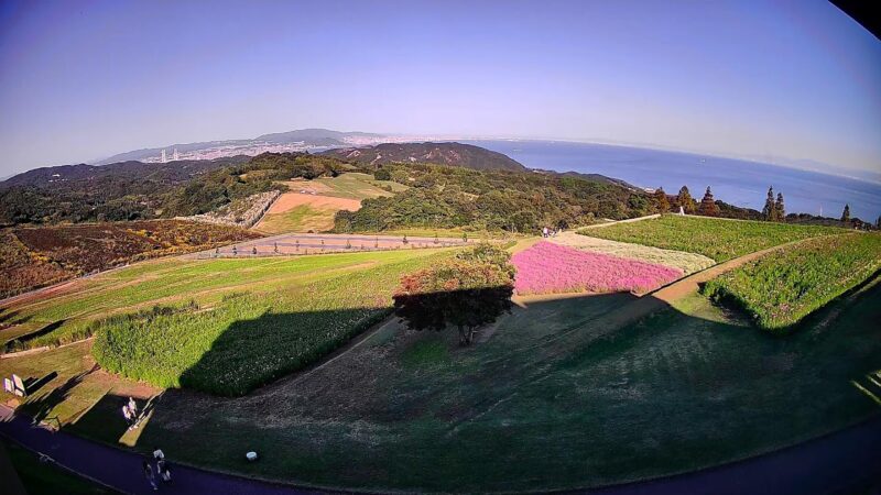 花さじきテラス館から兵庫県立公園あわじ花さじきのライブカメラ|兵庫県淡路市のサムネイル