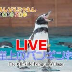 小諸市動物園・崖上のペンギン村のライブカメラ|長野県小諸市のサムネイル