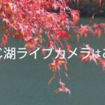 もみじ湖・末広下・竹ノ尾駐車場のライブカメラ|長野県箕輪町のサムネイル