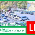 国道120号 第二いろは坂・明智平付近のライブカメラ|栃木県日光市のサムネイル