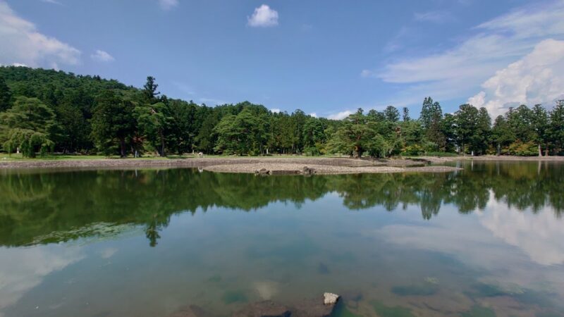 大仙市大神成付近のライブカメラ|秋田県大仙市のサムネイル