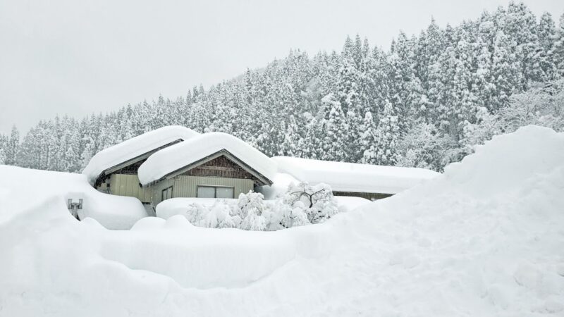 秋田市新屋扇町付近のライブカメラ|秋田県秋田市のサムネイル