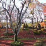 越路の庭・もみじ園中庭のライブカメラ|新潟県長岡市のサムネイル