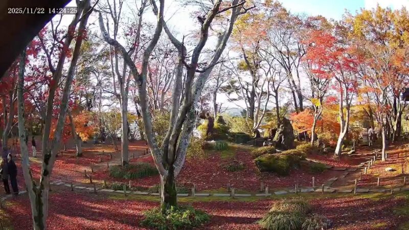 越路の庭・もみじ園中庭のライブカメラ|新潟県長岡市のサムネイル