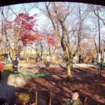 越路の庭・もみじ園表門のライブカメラ|新潟県長岡市のサムネイル