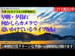 新興製作所から関門橋・関門海峡周辺のライブカメラ|山口県下関市のサムネイル