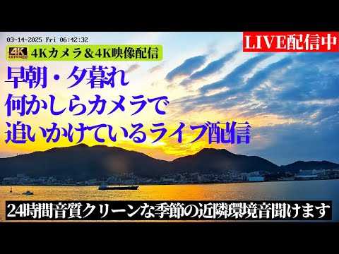新興製作所から関門橋・関門海峡周辺のライブカメラ|山口県下関市のサムネイル
