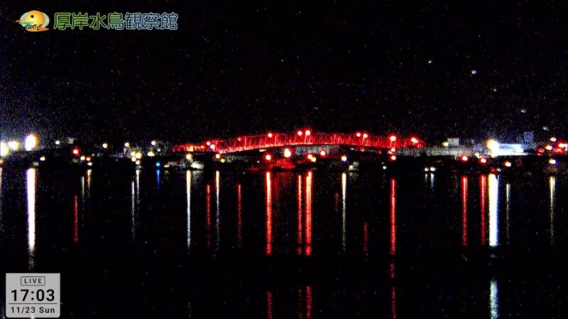厚岸水鳥観察館から野外観察のライブカメラ|北海道厚岸町のサムネイル