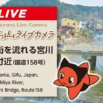 宮川 国道158号鍛冶橋付近のライブカメラ|岐阜県高山市のサムネイル