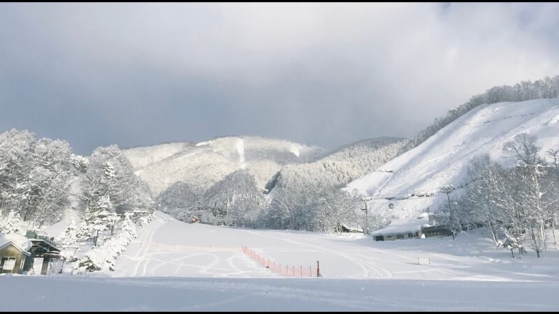 ホワイトワールド尾瀬岩鞍・ゴンドラ山麓駅前のライブカメラ|群馬県片品村のサムネイル