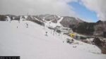 ダイナランドスキー場ゲレンデのライブカメラ|岐阜県郡上市のサムネイル