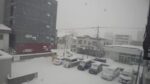 旭川ネットテレビより旭川市３条通付近のライブカメラ|北海道旭川市のサムネイル
