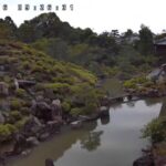 智積院・庭園のライブカメラ|京都府京都市のサムネイル