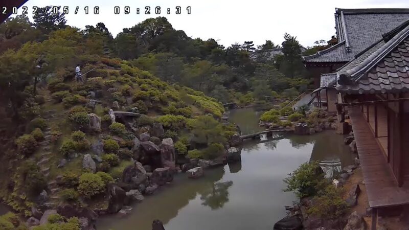 智積院・庭園のライブカメラ|京都府京都市のサムネイル