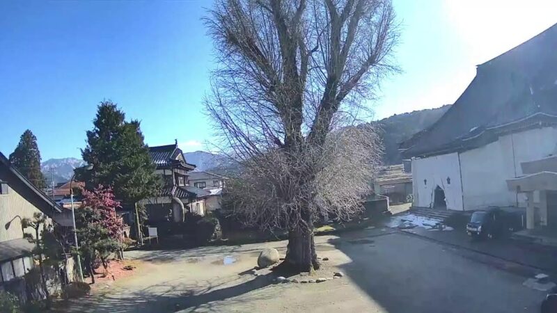 カフェ愚禿より善巧寺のライブカメラ|富山県黒部市のサムネイル