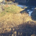 野上川 弾正橋のライブカメラ|栃木県大田原市のサムネイル