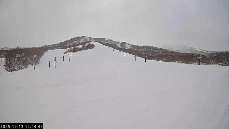 NISEKO MOIWA SKI RESORT・メインゲレンデのライブカメラ|北海道ニセコ町のサムネイル