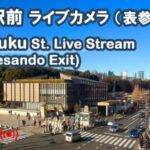 原宿駅・表参道口（東口・西口）のライブカメラ|東京都渋谷区のサムネイル