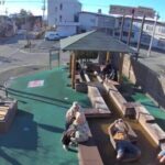 さくらんぼ東根温泉ポケットパーク足湯のライブカメラ|山形県東根市のサムネイル