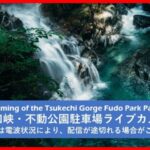 付知峡・不動公園駐車場のライブカメラ|岐阜県中津川市のサムネイル