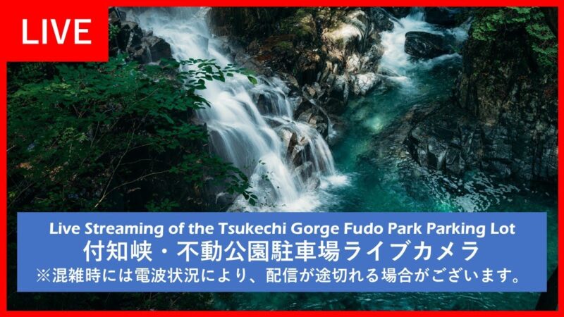 付知峡・不動公園駐車場のライブカメラ|岐阜県中津川市のサムネイル