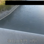神白川 水門（内水）のライブカメラ|福島県いわき市のサムネイル