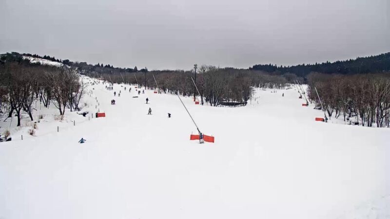 峰山高原リゾートホワイトピーク・コースゲレンデのライブカメラ|兵庫県神河町のサムネイル