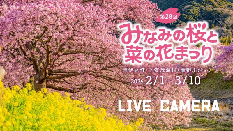 みなみの桜・道の駅下賀茂温泉湯の花内のライブカメラ|静岡県南伊豆町のサムネイル