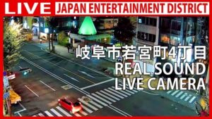 岐阜県岐阜市 若宮町通りのライブカメラ